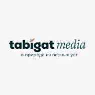 tabigat
