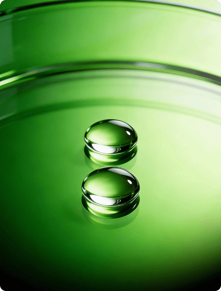 <strong>Adaptation</strong> and Economic Resilience to Environmental and Natural Risks