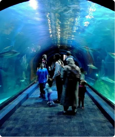 Государственный театр им. А. Мамбетова, Regional Ecological Summit RES 2026 – Participation & Program