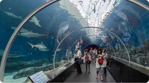 Государственный театр им. А. Мамбетова, Regional Ecological Summit RES 2026 – Participation & Program