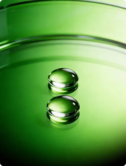 <strong>Adaptation</strong> and Economic Resilience to Environmental and Natural Risks <strong>Adaptation</strong> and Economic Resilience to Environmental and Natural Risks