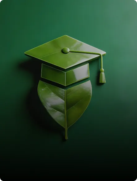 Environmental and <strong>Digital</strong> Competencies Environmental and <strong>Digital</strong> Competencies