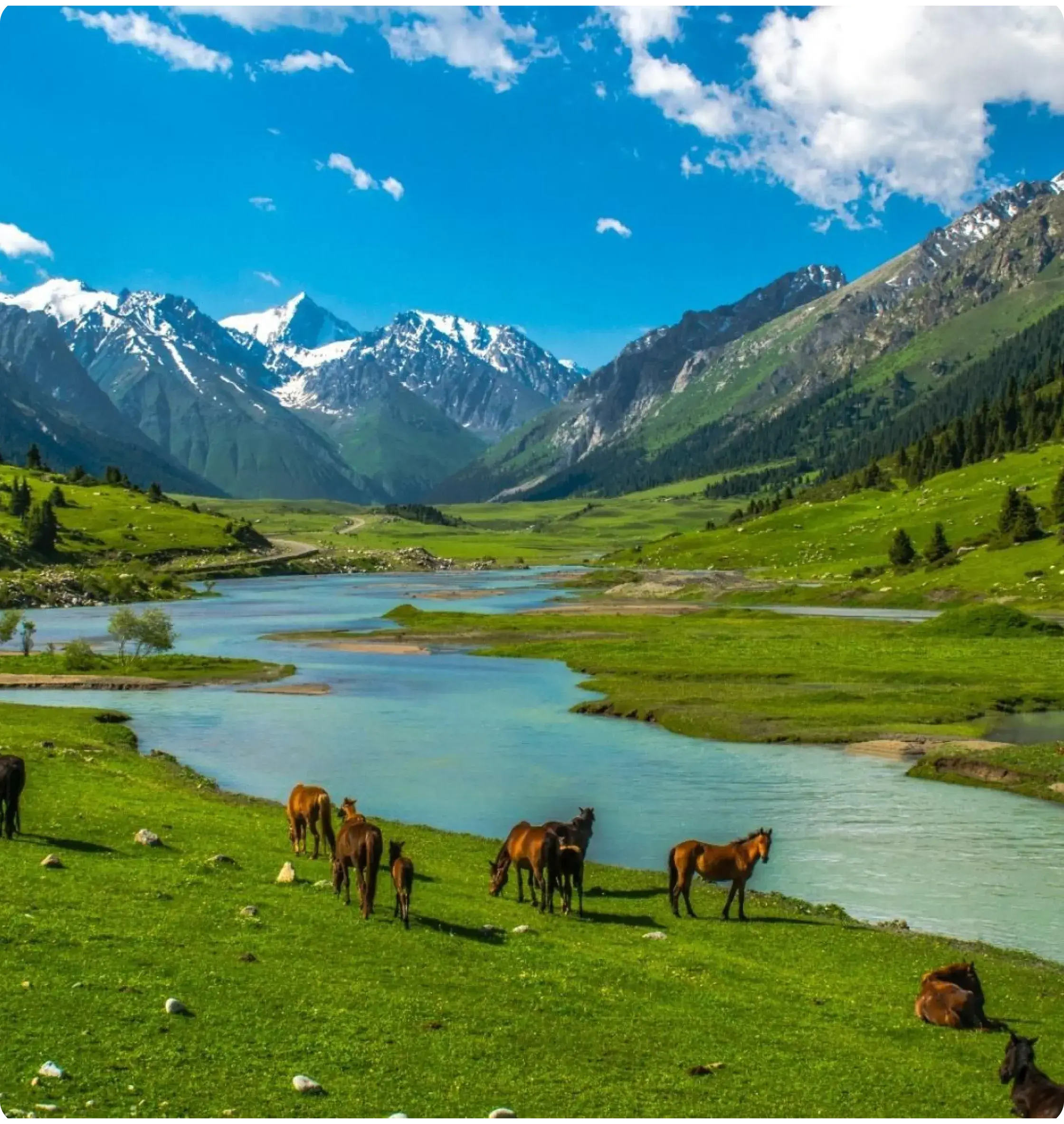 Climate of the Kyrgyz Republic Regional Ecological Summit RES 2026 – Participation & Program