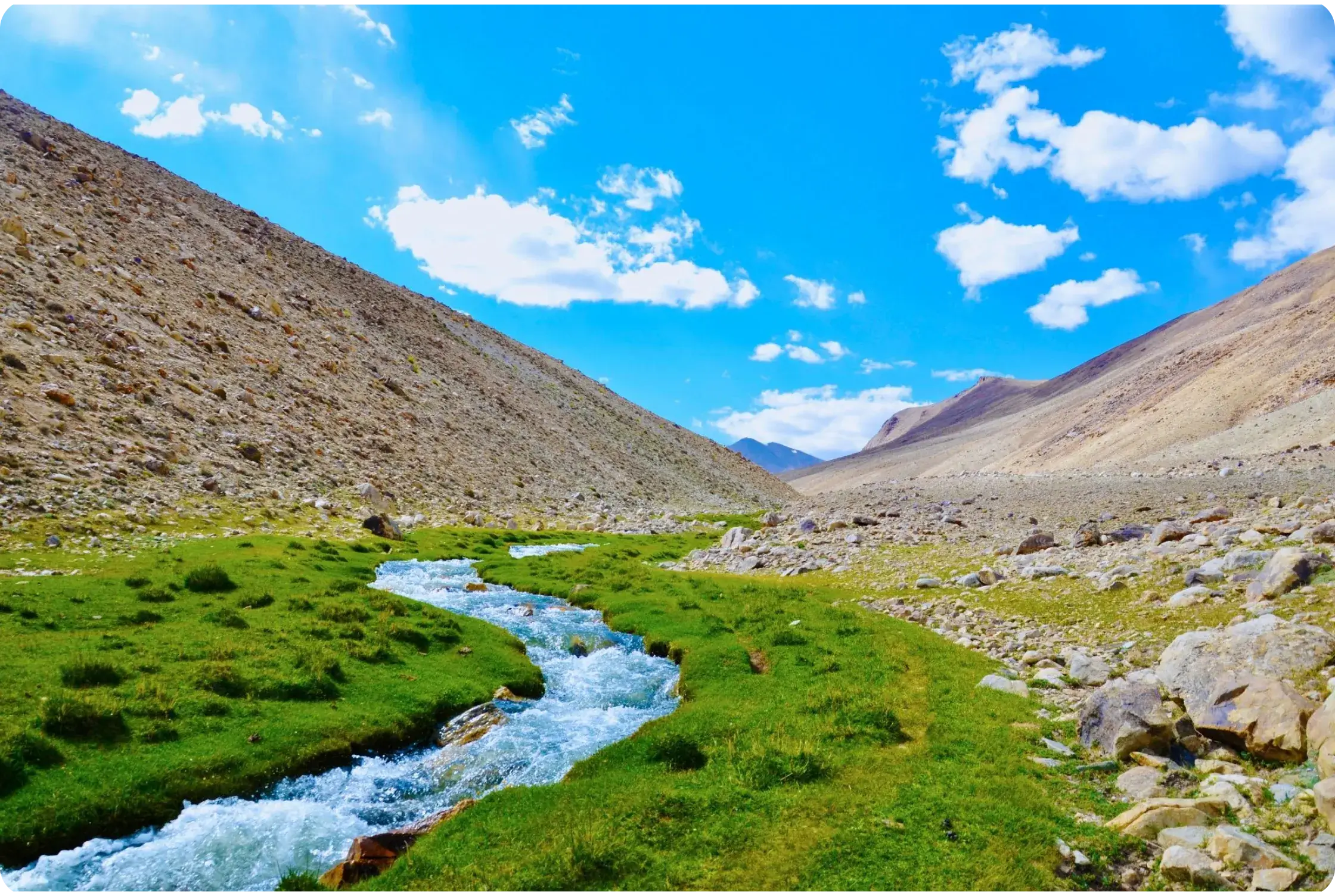 Climate Description Regional Ecological Summit RES 2026 – Participation & Program