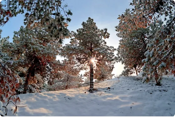 Природно-географический профиль и климат Региональный экологический саммит RES 2026 – участие и программа