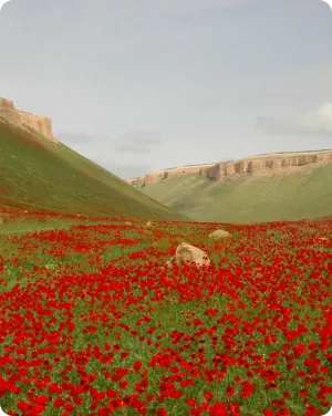 Природно-географический профиль и климат Региональный экологический саммит RES 2026 – участие и программа