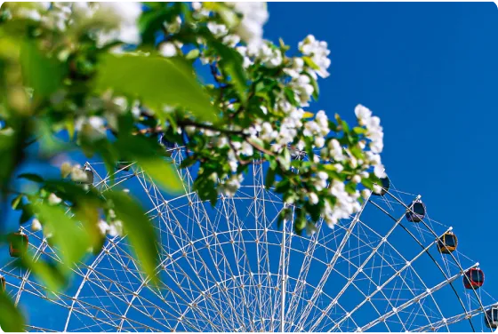 res 2026 expo res 2026 expo