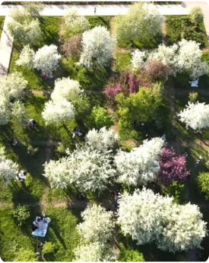 res 2026 astana res 2026 astana